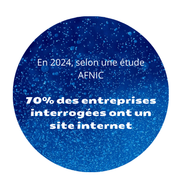 etude afnic 70% entreprise ont un site web