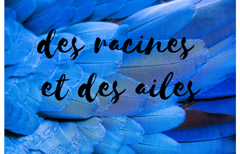 des racines et des ailes
